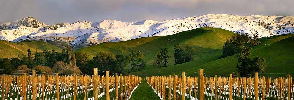 Marlborough Vintners Accommodation Blenheim Exterior foto