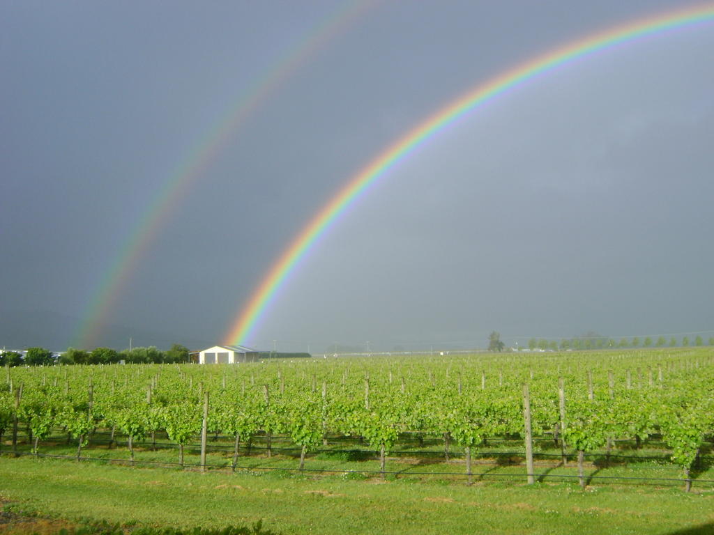 Marlborough Vintners Accommodation Blenheim Exterior foto