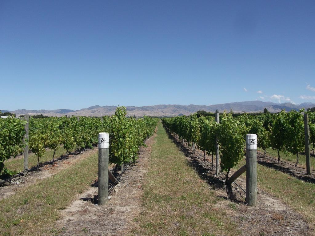 Marlborough Vintners Accommodation Blenheim Exterior foto